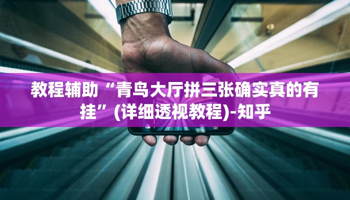 教程辅助“青鸟大厅拼三张确实真的有挂”(详细透视教程)-知乎