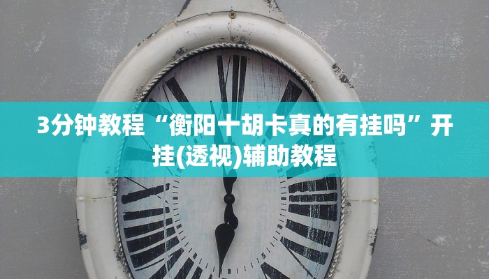 3分钟教程“衡阳十胡卡真的有挂吗”开挂(透视)辅助教程