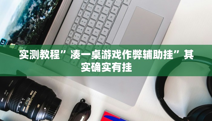 实测教程”凑一桌游戏作弊辅助挂”其实确实有挂