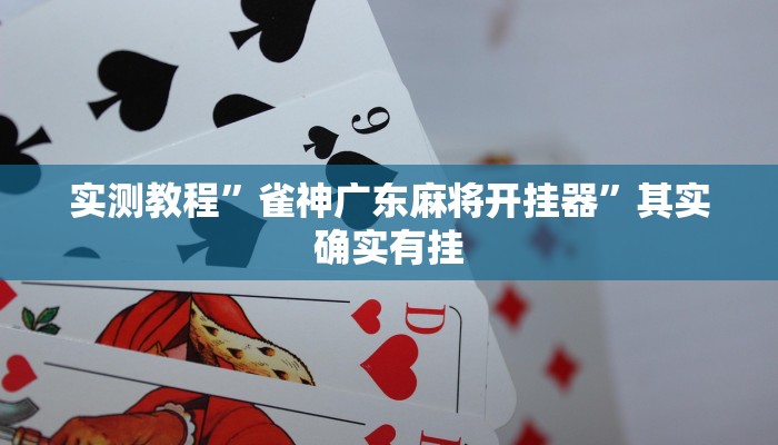 实测教程”雀神广东麻将开挂器”其实确实有挂