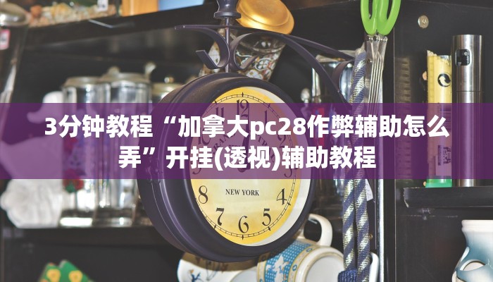 3分钟教程“加拿大pc28作弊辅助怎么弄”开挂(透视)辅助教程