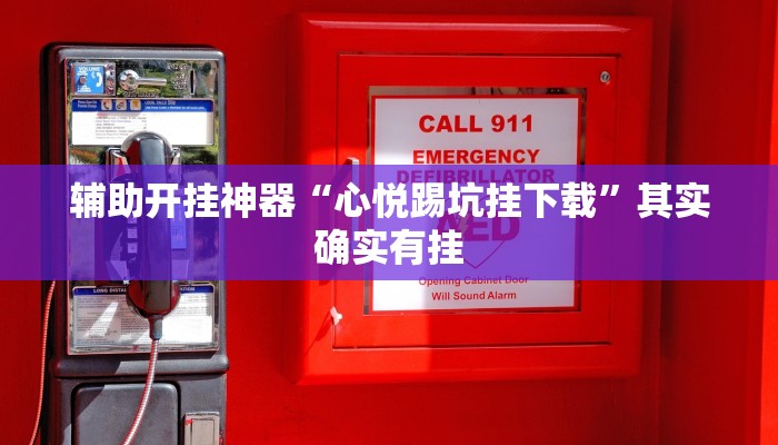 辅助开挂神器“心悦踢坑挂下载”其实确实有挂
