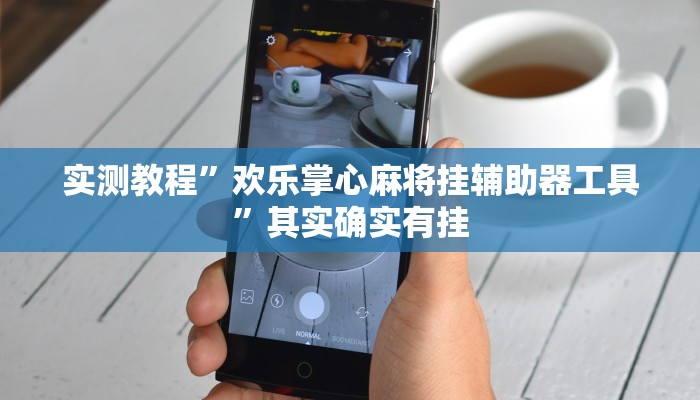 实测教程”欢乐掌心麻将挂辅助器工具”其实确实有挂 实测教程”欢乐掌心麻将挂辅助器工具”其实确实有挂