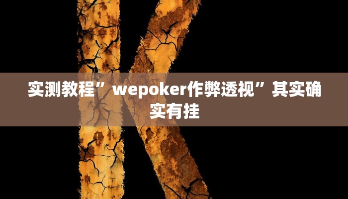 实测教程”wepoker作弊透视”其实确实有挂